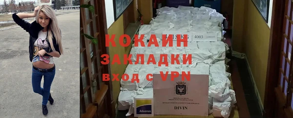 индика Абаза