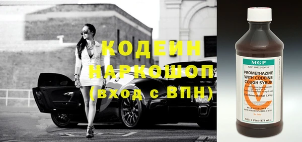 индика Абаза