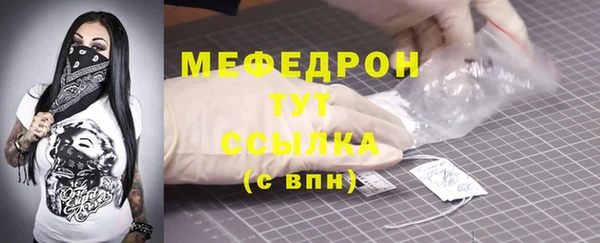 индика Абаза