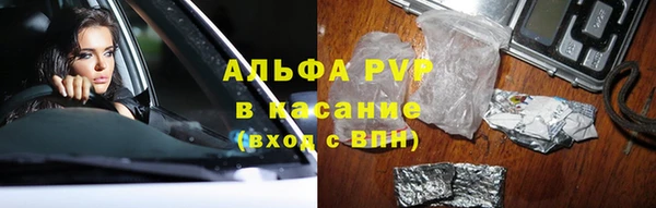 индика Абаза