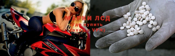 прущие грибы Абдулино