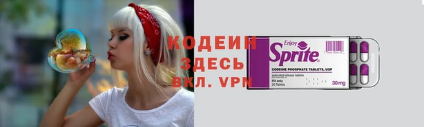 прущие грибы Абдулино