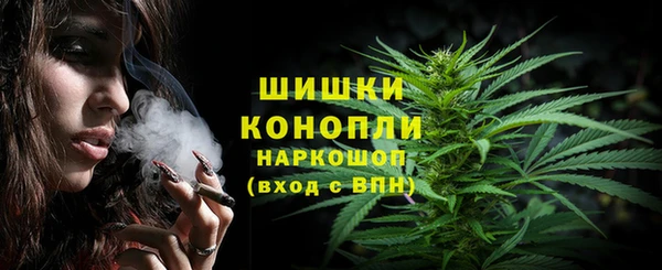 прущие грибы Абдулино