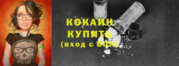индика Абаза