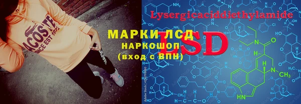 индика Абаза