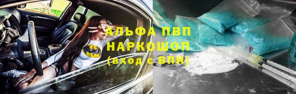 прущие грибы Абдулино