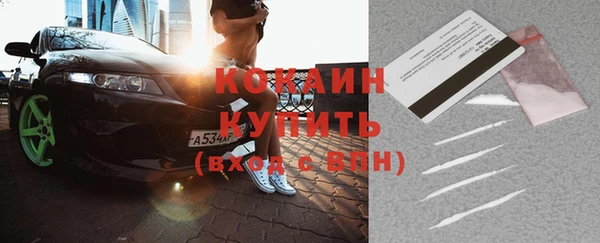 индика Абаза