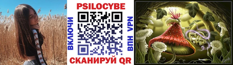 Псилоцибиновые грибы Psilocybine cubensis  цена   Приволжский 